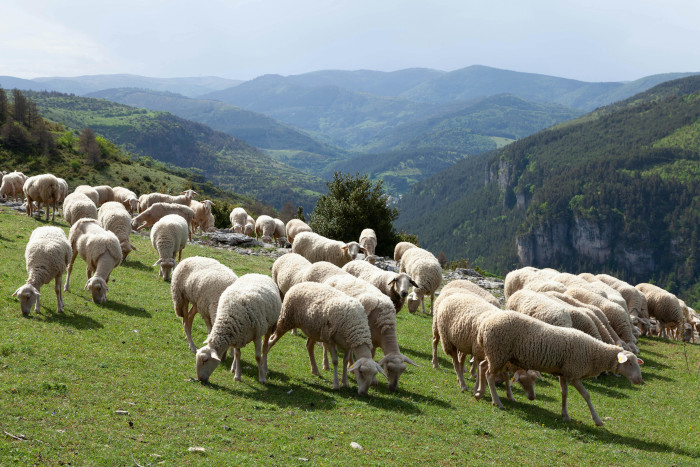Produits variés